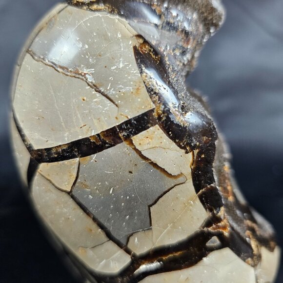 Septarian - Picture 7 of 9